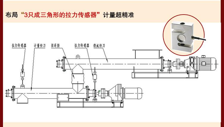 技術(shù)為先，國諾信科為廣大用戶提供高性能螺旋計量稱